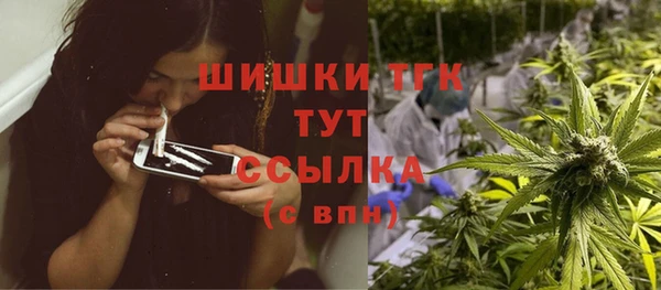 эйфоретик Арсеньев