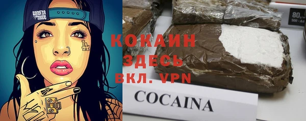 прущие грибы Баксан