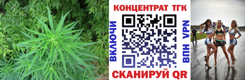 купить закладку  Южноуральск  МЕГА tor  ТГК THC oil 